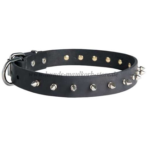 Enges Lederhalsband für Malinois Spike Design ✔