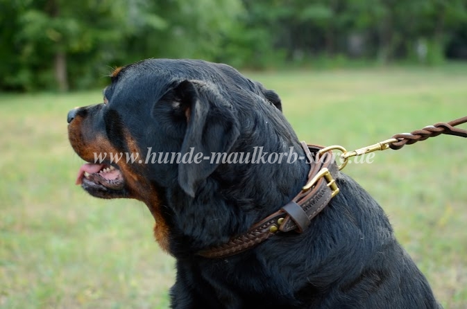 Rottweiler Leather Dog Collar Super Braided Design