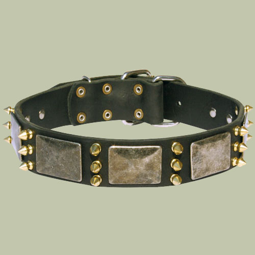 Spiked leather dog collar