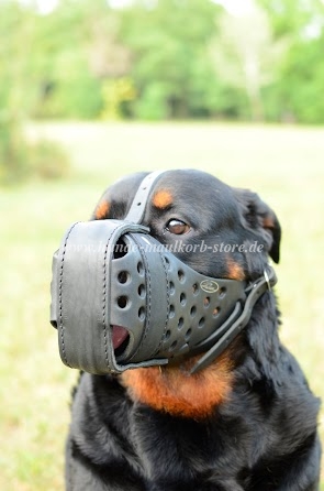 Leather Dog Muzzle "Dondi plus" for Rottweiler