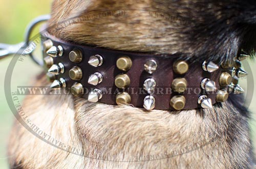 Leder Hundehalsband für Malinois mit Spikes und Pyramiden