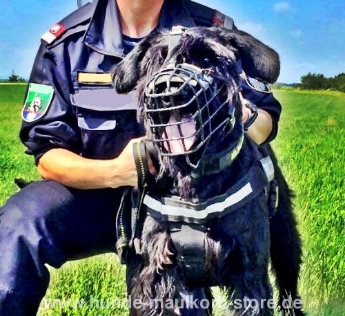 K9 Maulkorb aus Draht & Leder für Riesenschnauzer