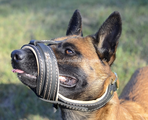 Maulkorb aus Leder - Beißkorb für Malinois Komfort 2020-21 neu!