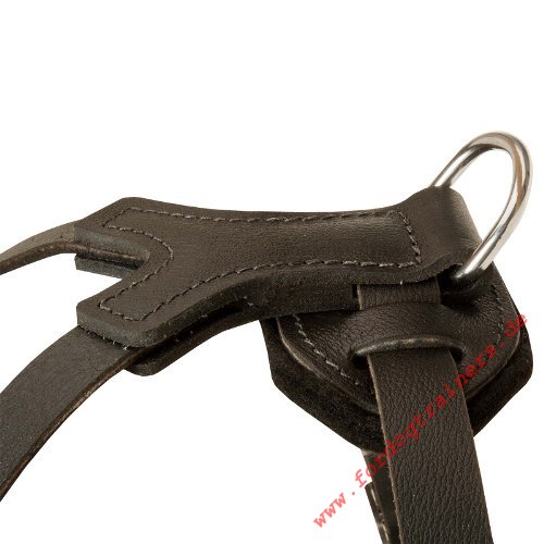Studded walking dog leather harness with pyramids - Top Quality