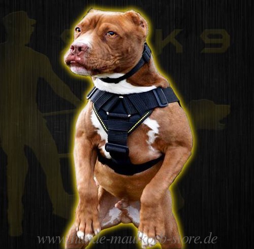 Geschirr für Pitbull Trainings, Arbeitshundgeschirr