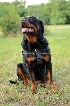 Nylon Tracking Harness for Rottweiler Super Control