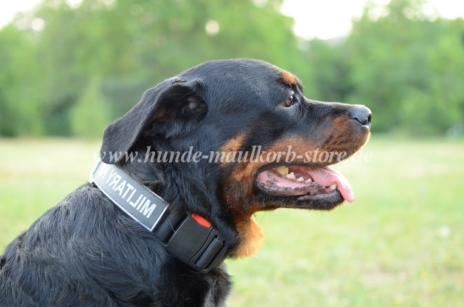 Rottweiler Halsband Nylon mit Logo Superhaltbarkeit! - zum Schließen ins Bild klicken