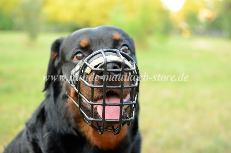 Rottweiler Drahtmaulkorb | Winter Beisskorb für Rottweiler