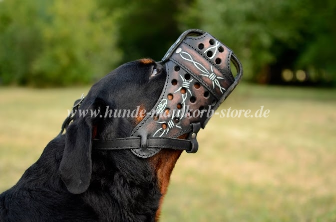 Maulkorb Rottweiler für Angriff Training