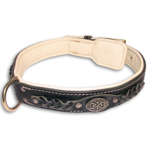 Exklusives Gepolsterter Hundehalsband Leder, Schwarz 45-89 cm - zum Schließen ins Bild klicken