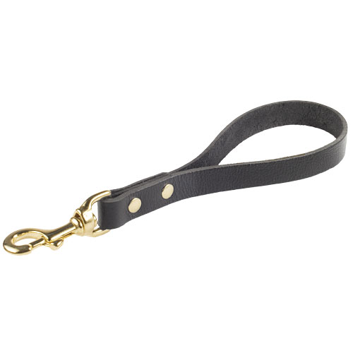 Short dog leash with handle