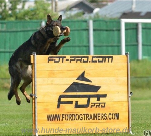 Hölzerne Sprunghürde für Schutzhund, 60-100cm hoch - zum Schließen ins Bild klicken