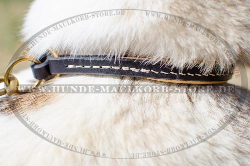Zughalsband Leder für Schlittenhunde