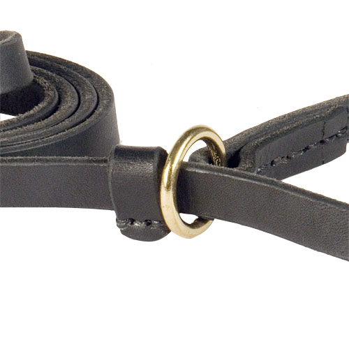 Fast Walking Combo Leash | Choke Collar - Click Image to Close