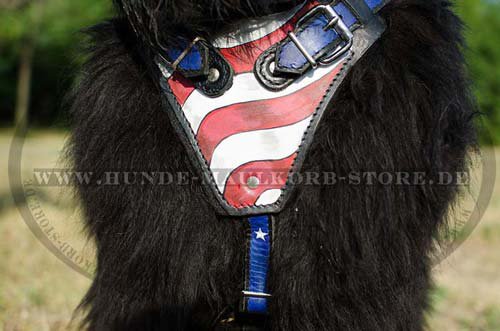 leather harness with painting Newfoundland H1AP
