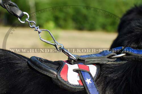 Painted Leather Harness Newfoundland H1AP