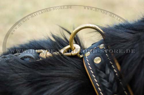 braided dog collar Newfoundland C43