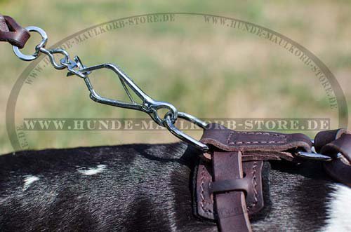 Leather harness Spiked French Bulldog H23