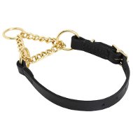 Choke Dog Collar of Gold Brass Martingale with Leather