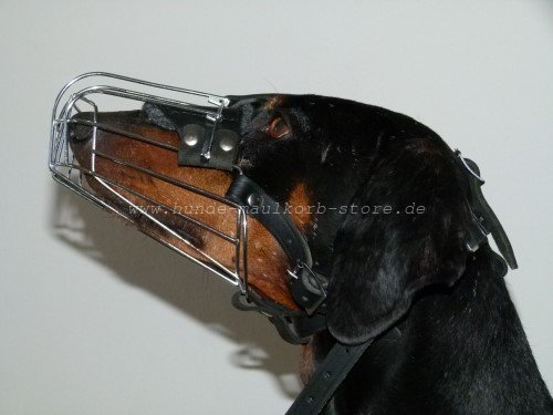 Dog Muzzle Doberman M4