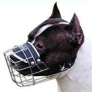 Wire Dog Muzzle for Amstaff, Amstaff Cage Muzzle