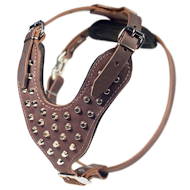 Studded walking dog leather harness with pyramids - Top Quality