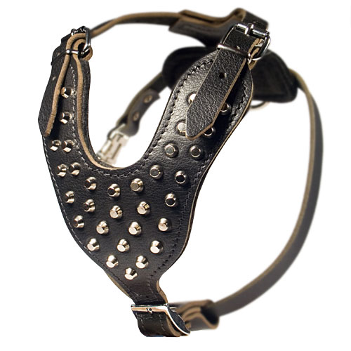 studded leather harness with pyramids