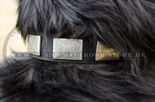 Collar with Plates for Newfoundland С274