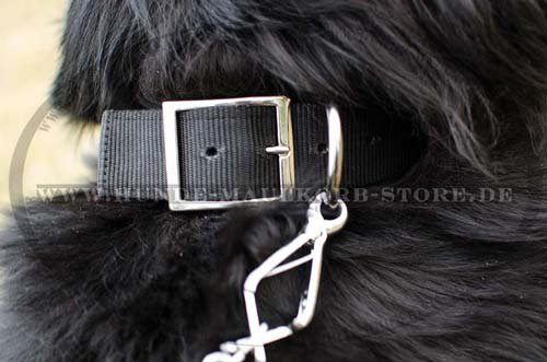 Exklusives Nylon Hundehalsband fuer Neufi C274