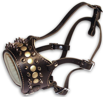 Muzzle Leather Exclusive | Muzzle with Spikes & Nappa Lining