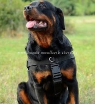 Nylon Suchgeschirr für Rottweiler Super Kontrolle