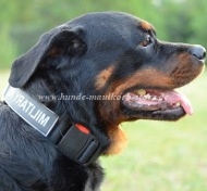 Rottweiler Collar made of Nylon with Patch Super Durable