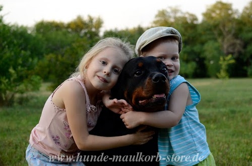 Rottweiler Hunde Maulkorb Geschirr Halsband