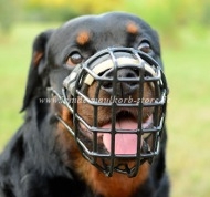 Wire Basket Muzzle for Rottweiler, Cage Muzzle Winter 2012-2013!