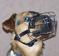 Metal Dog Muzzle for Belgian Shepherd Mix