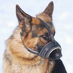  Leather Dog Muzzle