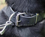 Leather Collar for Mountain Dog with Three Rows of Studs