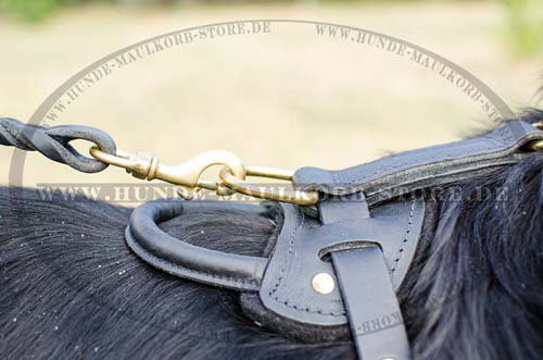 leather harness for Newfoundland H10