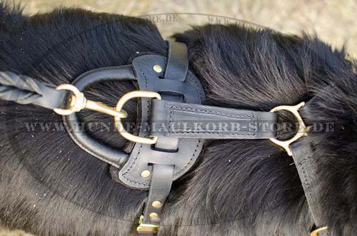 solid leather dog harness for Newfoundland H10