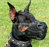 Doberman Muzzle of Leather with Optimum Ventilation