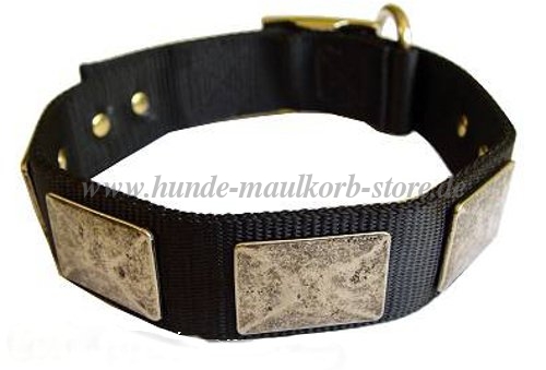 Halsband mit Platten Neufundland С274