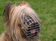 Wire Basket Dog Muzzle for big size dog breeds, Briard