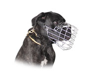 Wire dog muzzle for Cane Corso